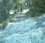 Rabosendas 9-2-08 021.jpg