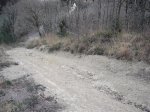 DSC01136.jpg