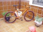 Naranja MecÃ¡nica.1JPG.JPG