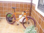Naranja MecÃ¡nica.2JPG.JPG