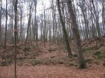 IMG_4841.JPG