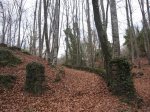 IMG_4849.JPG