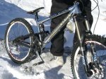 animal-commencal[1].jpg