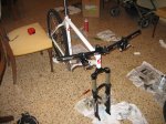 IMG_2627.jpg