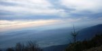 IMG_2650r.JPG