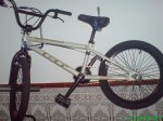 DSC00866.jpg