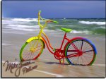 bicicolor.jpg