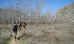 resized_DSC02253.jpg