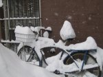 bike7.jpg