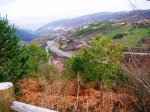 DSCN4298.JPG