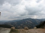 IMG_5051.JPG