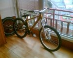 mi bike white.jpg