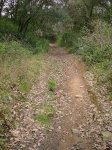 DSC01734.jpg