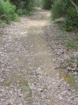 DSC01736.JPG
