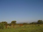 DSC014860001.JPG