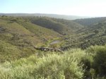 DSC014890004.JPG