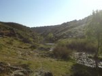 DSC014910006.JPG