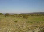 DSC014930008.JPG
