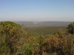 DSC014990014.JPG