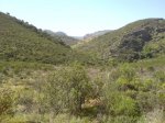DSC015120027.JPG