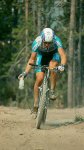 tomac_1.jpg