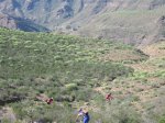 IMG_3971.JPG