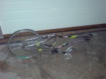 Imagen 017.jpg
