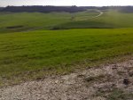 14042008679.jpg