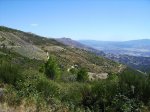 IMG_0349.jpg