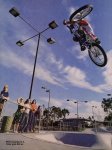 bmxTinker3.jpg