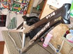 DSC04113.jpg