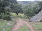 IMG_0002.jpg