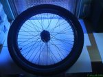 DSC00586.jpg