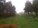 11022008010-1.jpg