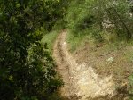 DSCN1764.jpg