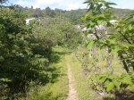 DSC00352.jpg
