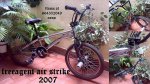 29052008079.jpg