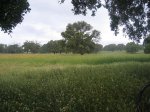 IMG_0220.jpg