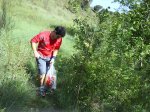 DSC00024.jpg