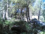 duatlon 08-06-2008 031.jpg
