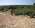 IMG_2819.jpg
