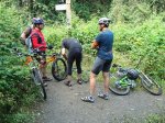 DSC01530.jpg