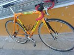 DSC02753.jpg