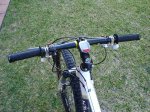 DSC01208.jpg