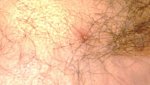 corte3.jpg