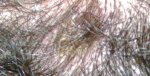 corte2_192.jpg