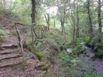 DSC00714.jpg