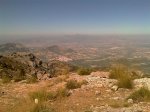 IMAG0060.jpg