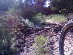 07072008942.jpg