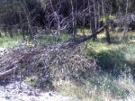 07072008944.jpg